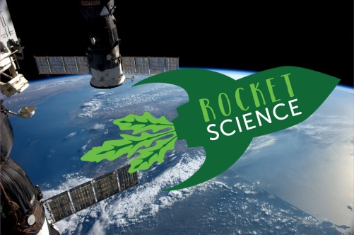 Rocket-Science.jpg